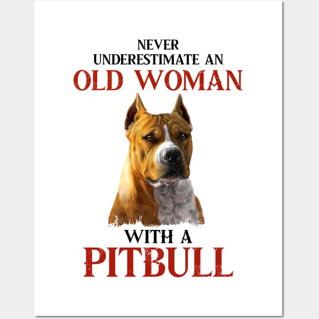 Never underestimate an old woman with a pitbull tshirt woman funny gift t-shirt Wall Art by American Woman